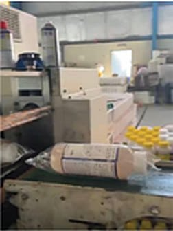 Labelling head