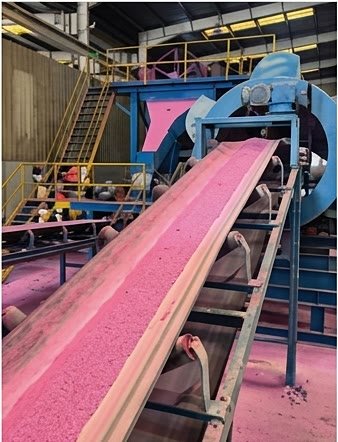 Granule transfer conveyor