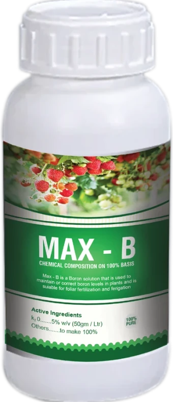 Max-B