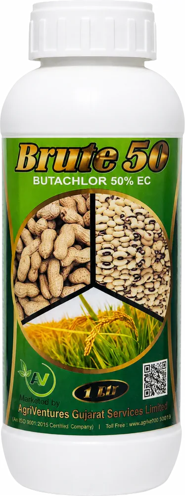 BRUTE 50 pack